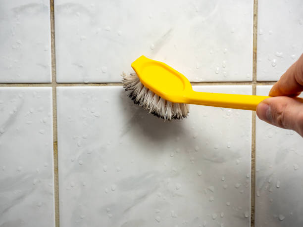 Best Mold Remediation  in Pleasanton, KS