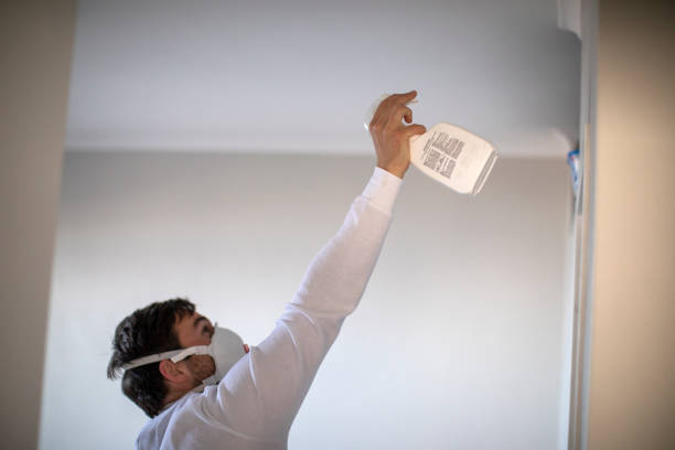 Best Office Mold Removal Services  in Pleasanton, KS