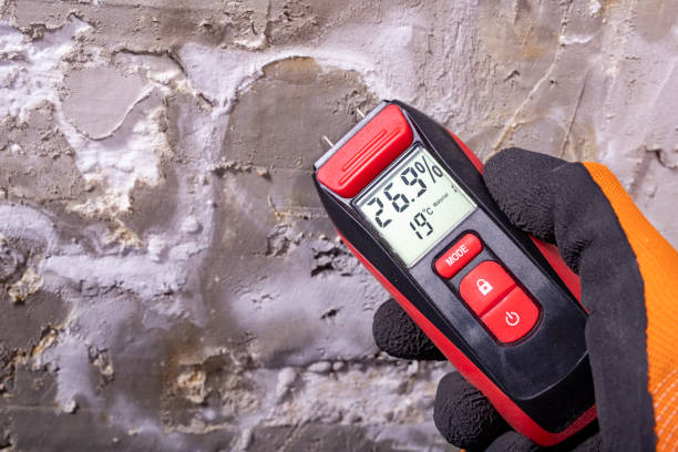 Best Crawl Space Mold Removal  in Pleasanton, KS