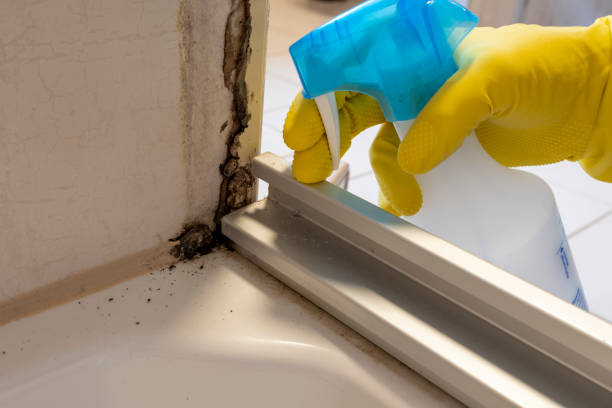 Best Toxic Mold Removal  in Pleasanton, KS