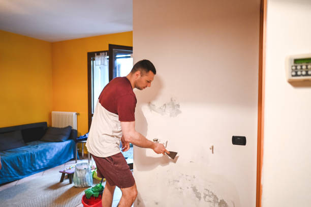 Pleasanton, KS Mold Removal Company