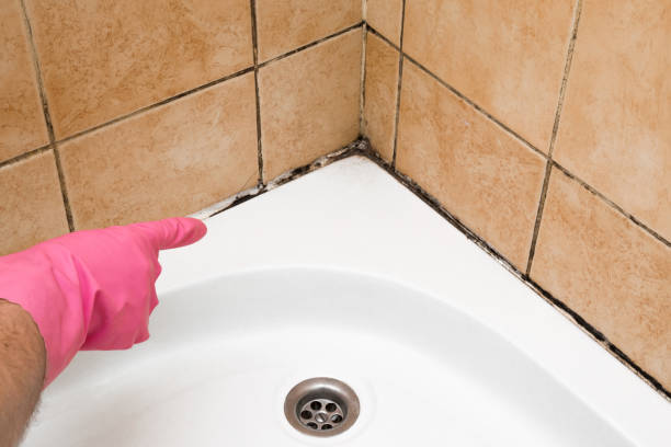 Best Mold Cleaning Services  in Pleasanton, KS
